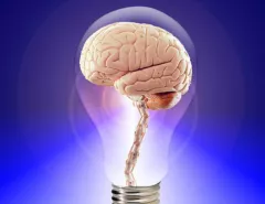 Untitled-600-x-450-px-20